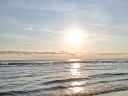 20250427_070848.jpg