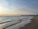 20250427_070906.jpg