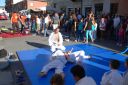 Nome del file=DSC_0230.jpg
Dimensione del file=369KiB
Dimensioni=2048x1370
Aggiunta il=21 Set 2015 DSC_0230.jpg