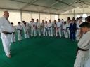 Nome del file=IMG_20180704_112325.jpg
Dimensione del file=279KiB
Dimensioni=2048x1536
Aggiunta il=10 Lug 2018 IMG_20180704_112325.jpg